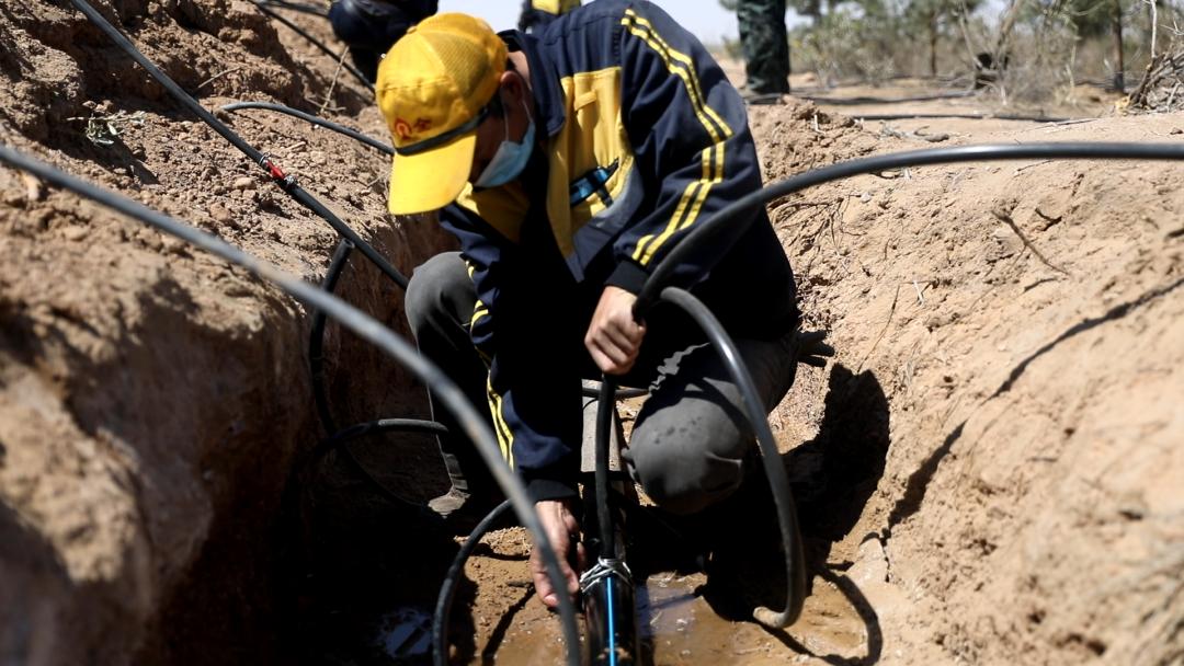 治沙人依託黃河水資源,在臨近黃河地段建造揚水站,採用滴灌,渠灌手段