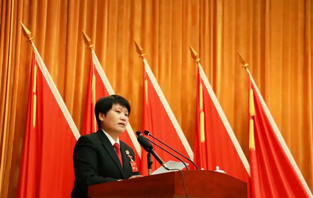 潮南法院党组书记代理院长林东升在区五届人大一次会议上作工作报告