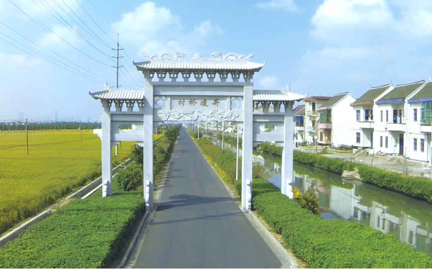 松江这个新晋的全国特色产业亿元村是你的家乡吗