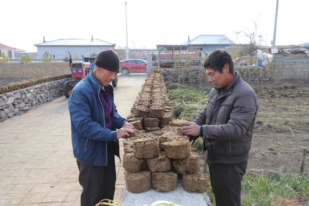 突泉县赛银花村:牛粪制成"蜂窝煤" 实现资源再利用