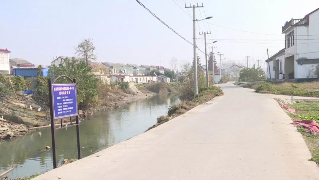 重任在肩豪情满怀专访省党代表车桥镇丰年村党总支书记卢攀峰