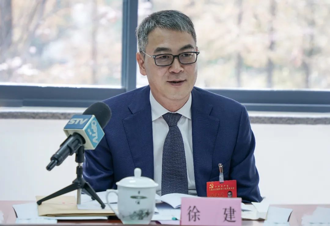 区领导参加分团审议共谋青浦发展谱写崭新篇章