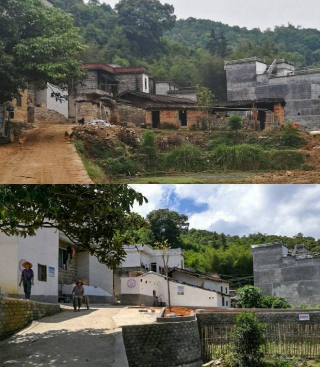 化州市新塘村一脉村居展新颜退桉富农百果甜