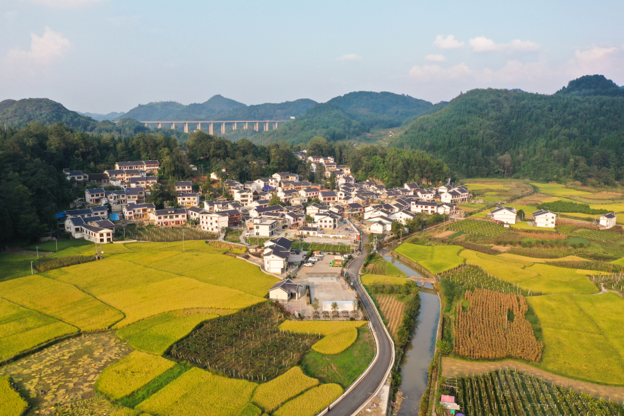 美美观山湖三次产业并驾齐驱书写观山湖区高质量发展之产业美