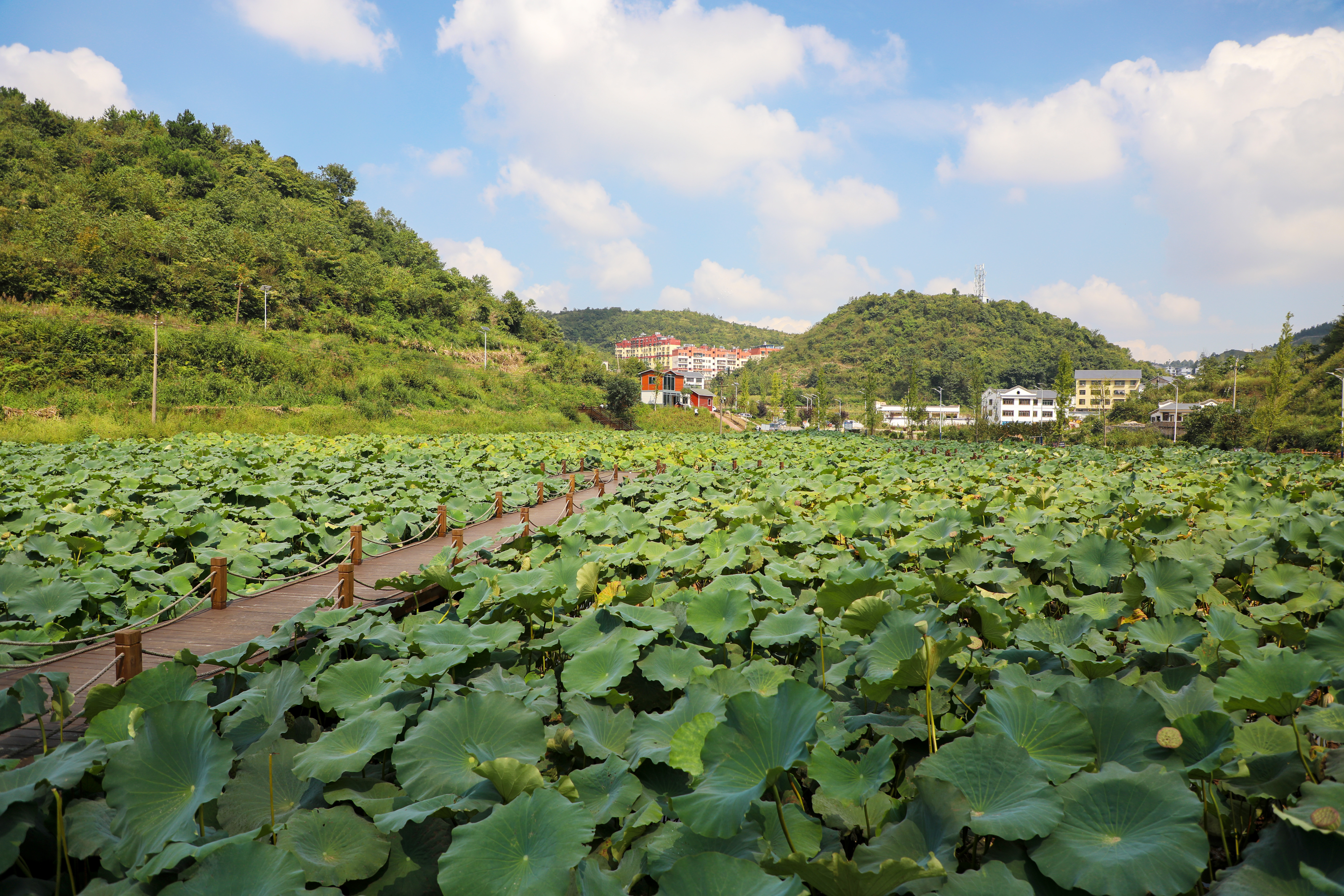 美美观山湖