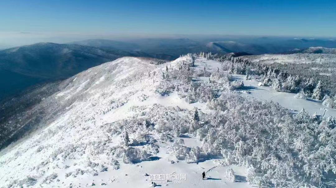 雪后凤凰山美如画今年积雪厚度将超往年