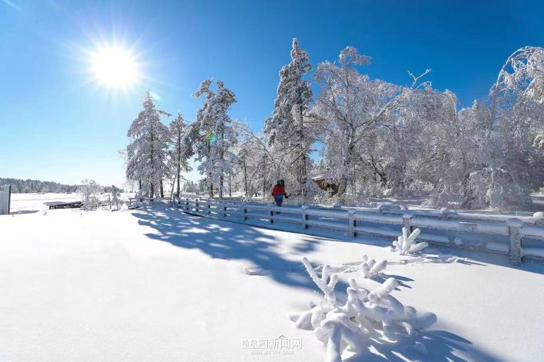 雪后凤凰山美如画,今年积雪厚度将超往年