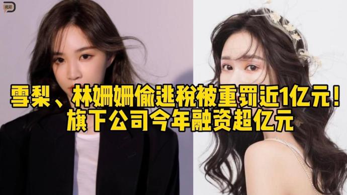 雪梨、林姗姗偷逃税被重罚近1亿元,旗下公司今年融资超亿元
