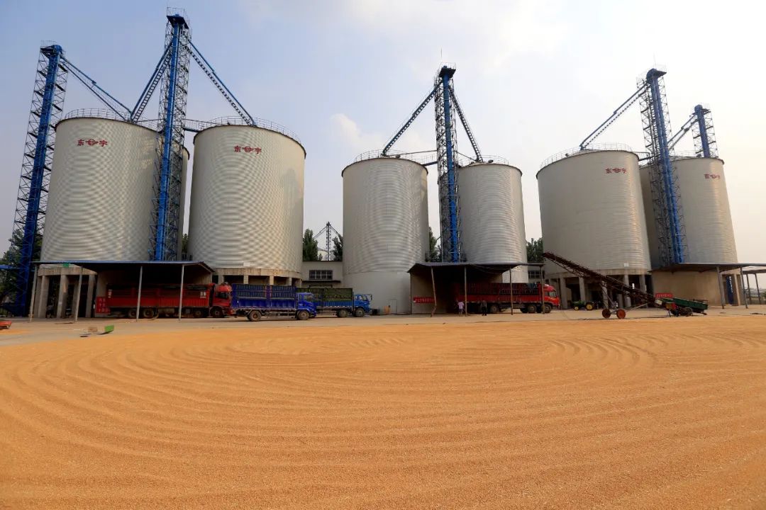 河南粮食仓容量排名全国第一