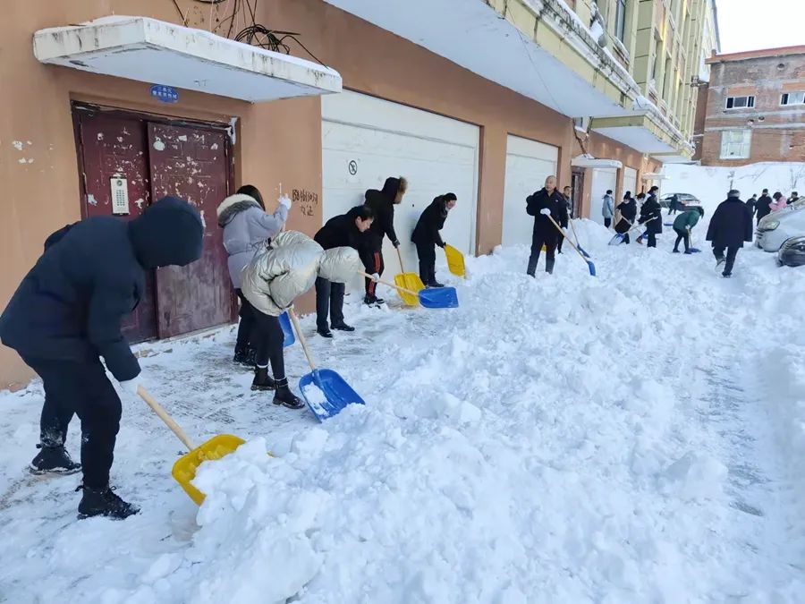 我为群众办实事丨严冬瑞雪至扫雪畅通行抚远法院开展清雪便民行动