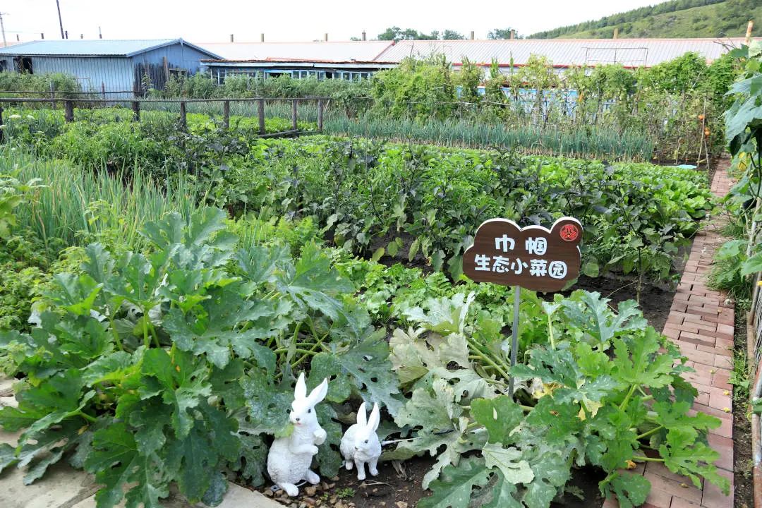 冠军是她巾帼生态小菜园擂台赛结果揭晓