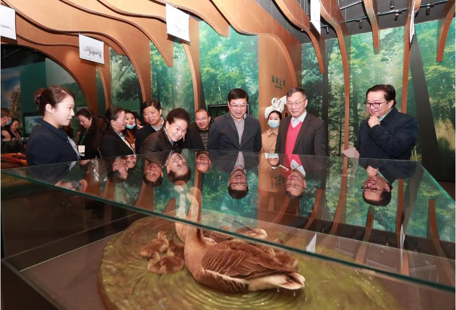 文化│省内首家高校综合性博物馆——贵州师范大学博物馆开馆