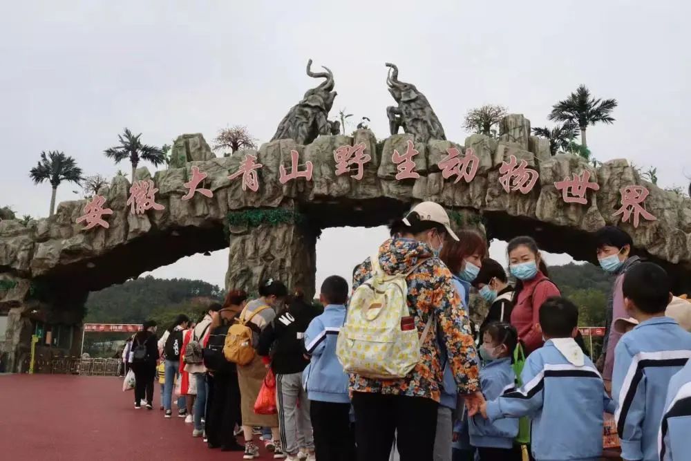 从废弃矿坑到“网红”景点，社会资本参与生态保护修复