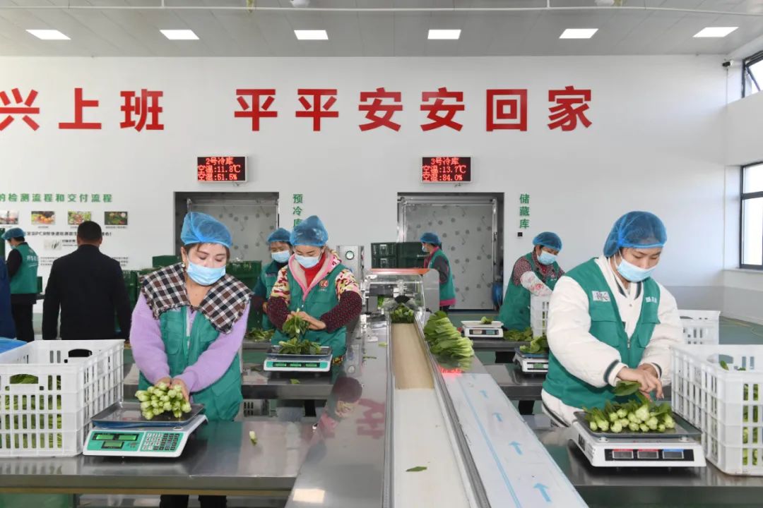 虞爱华乡村治理关键在党的建设产业振兴取决于科技进步