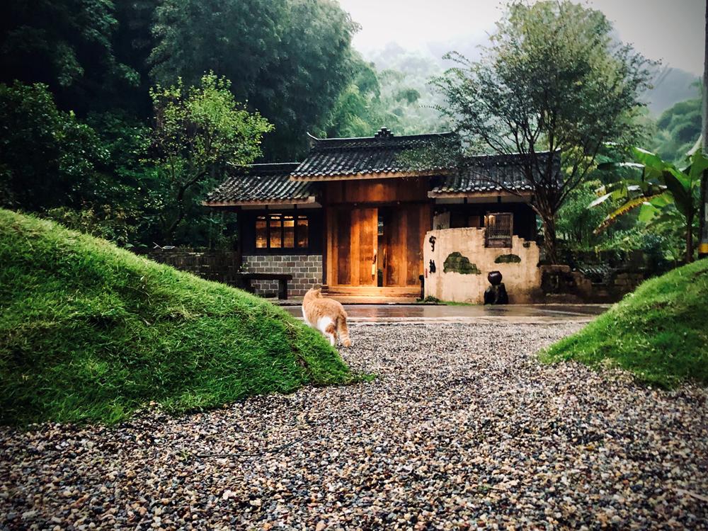 守拙古道别院龙挂山 · 半山云舍即日起至2021.12.