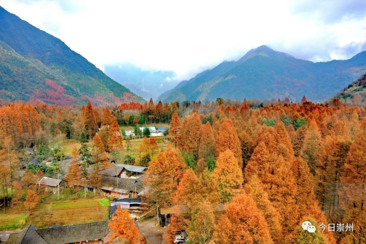 文井江镇旅游景区图片