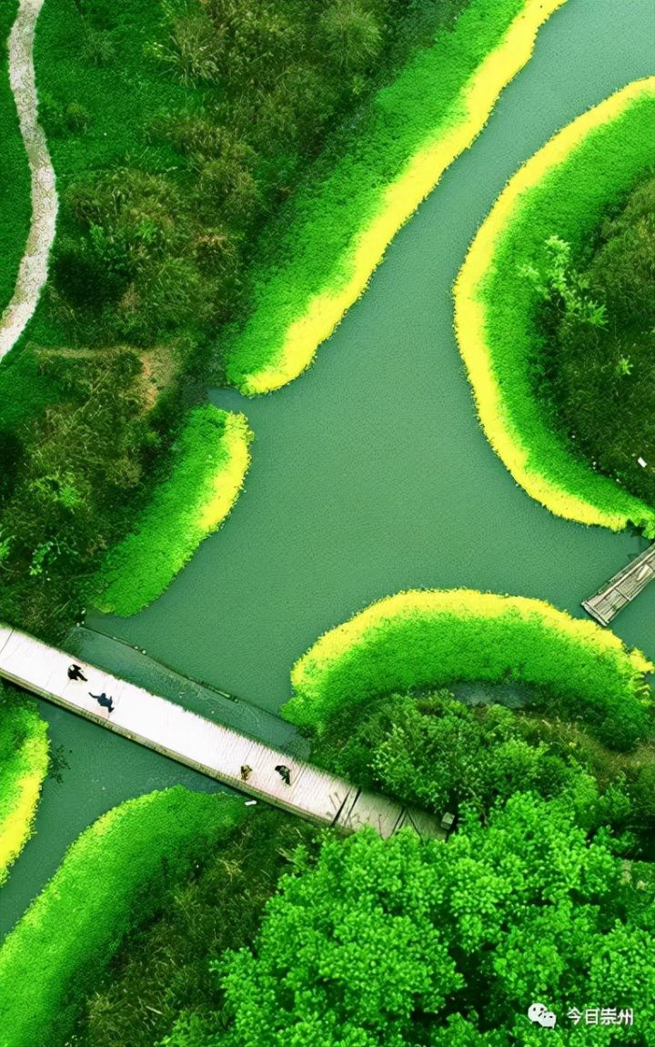 桤木河湿地公园介绍图片