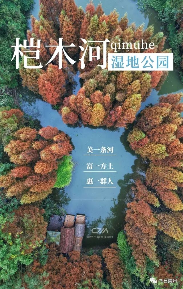 桤木河湿地公园介绍图片