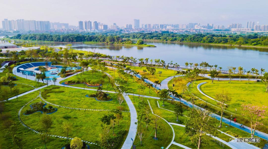 年度大奖出炉佛山太上镜了