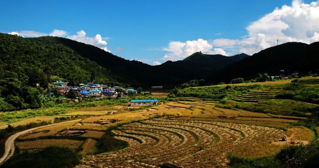 龙谷村属于山区,是勐腊县最为偏远的村小组之一,象明彝族乡的5个贫困