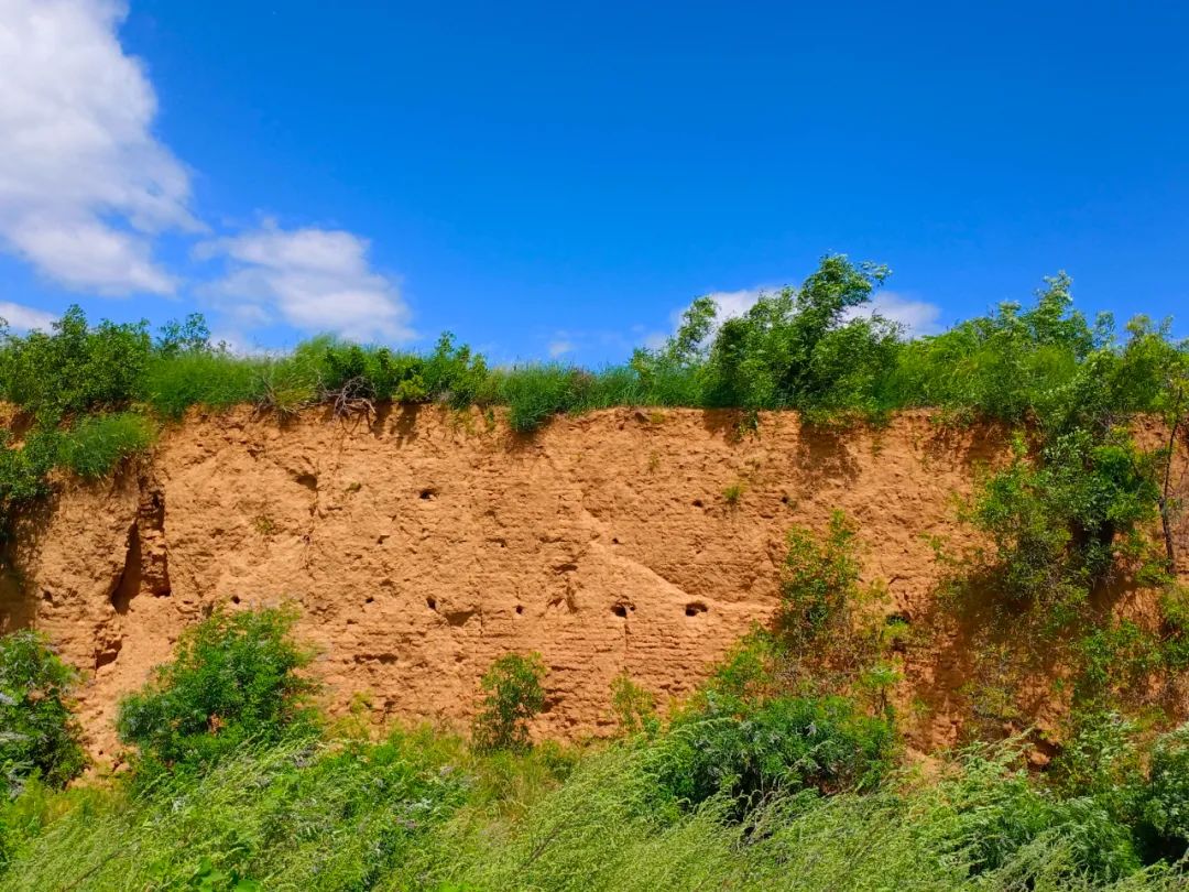 历史灵寿战国中山国灵寿城遗址