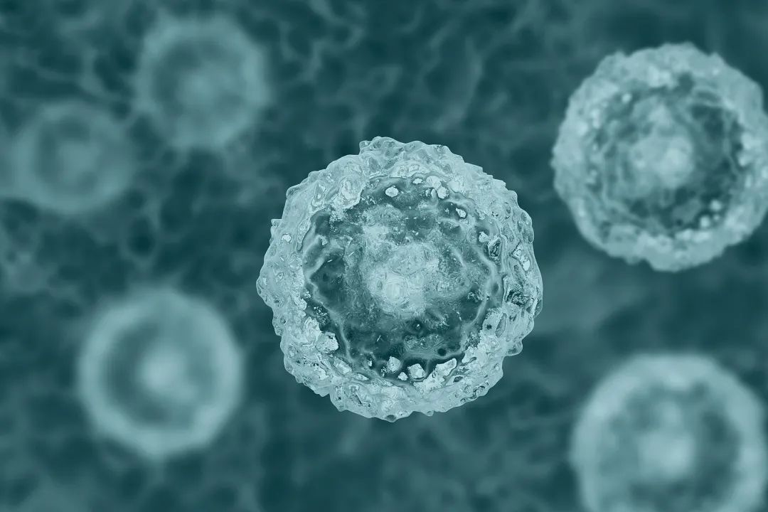 我们对细胞真的了解吗?