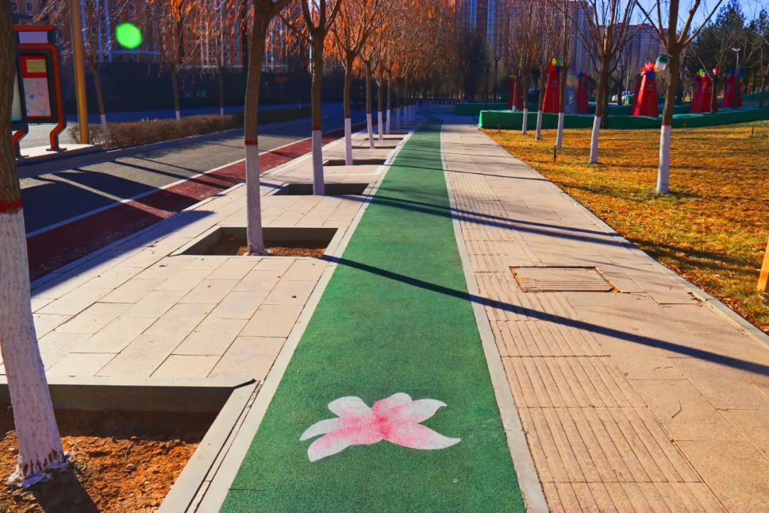 步道彩绘在水岸新城各个慢行步道上实施完成.