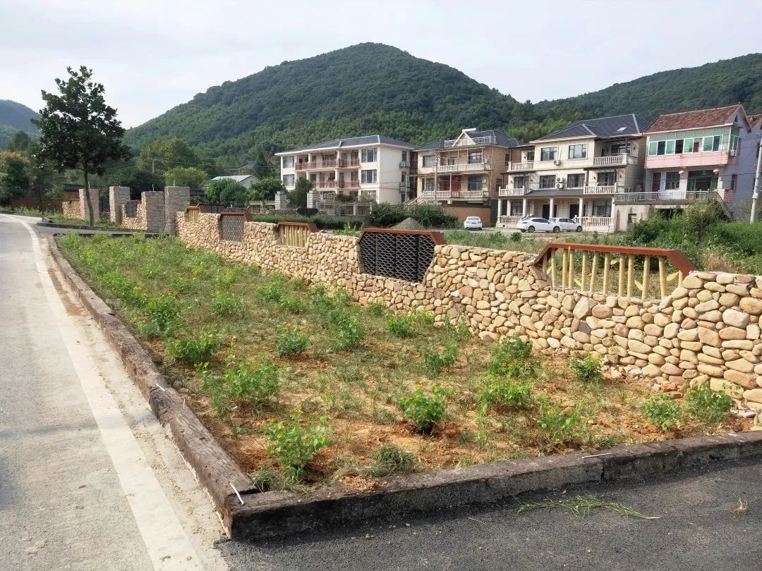 花开德清02下渚湖街道上杨村天际森谷花墙示范带种植进行时