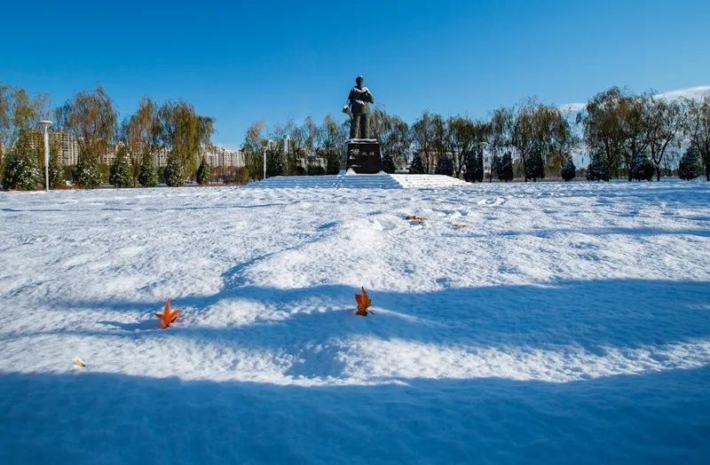 生态摄影:滦南县北河公园雪景