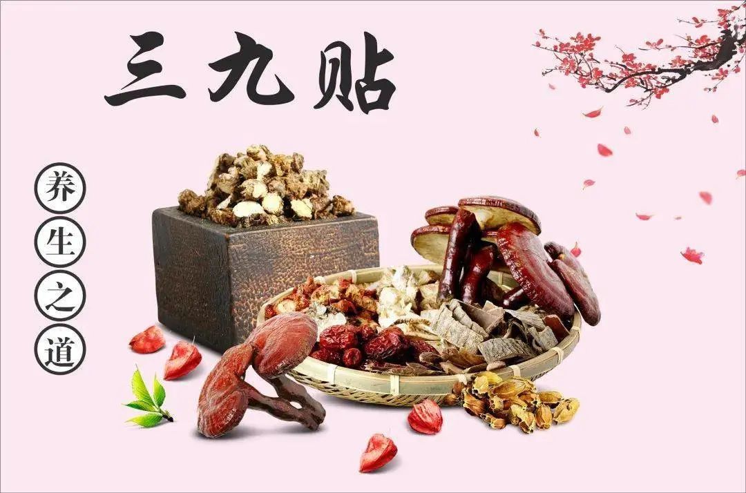 七院“三九贴”正式开贴,你准备好了吗?_澎湃号·政务_澎湃新闻-The Paper