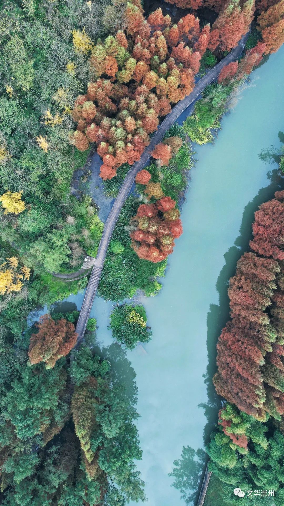 郫都区横山村花湖图片