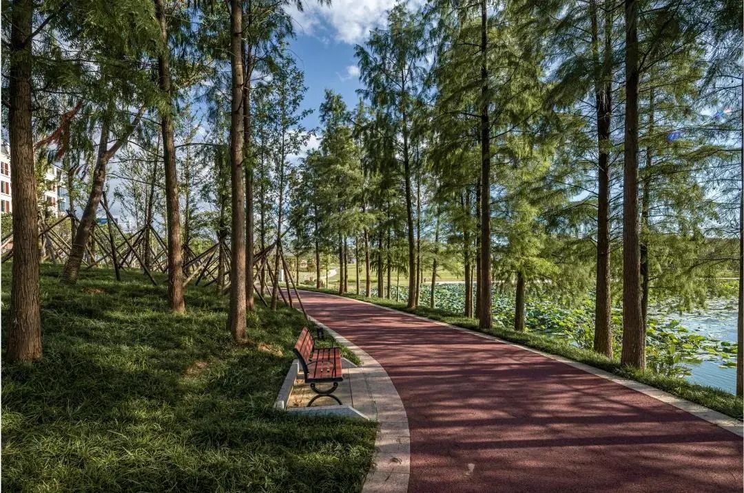 快来打卡南京最美健身步道