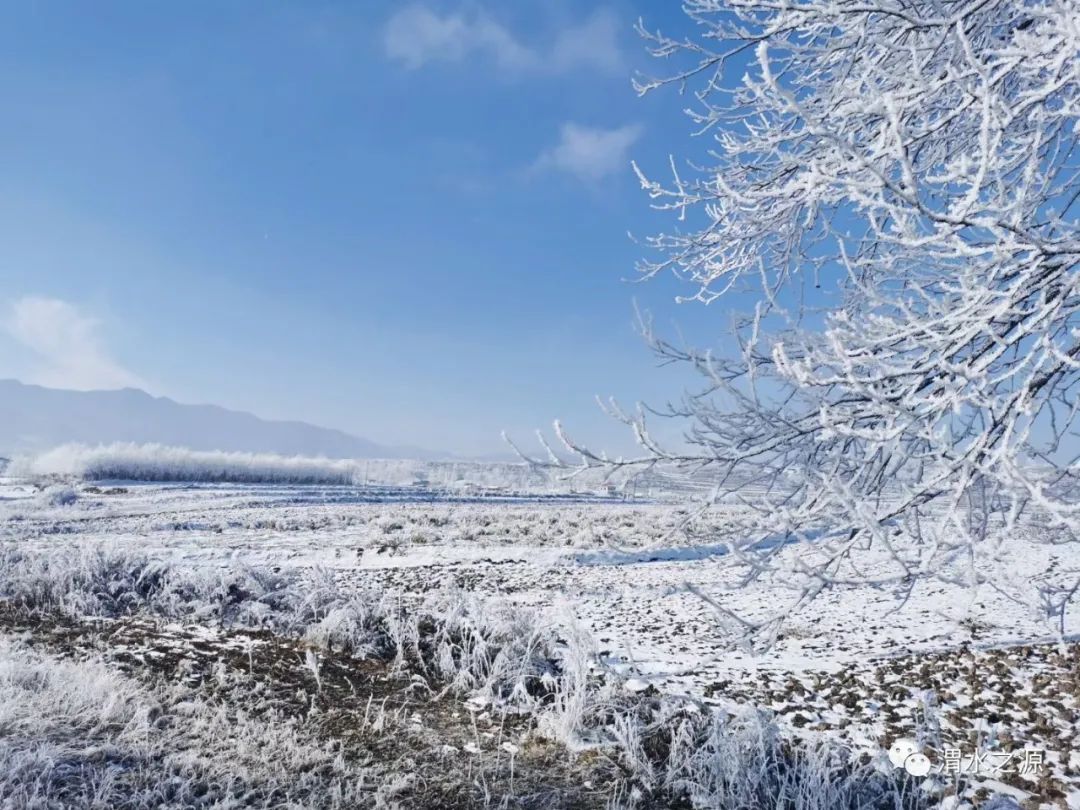 隨著低溫天氣的持續渭源雪景將愈加驚豔特別聲明本文為澎湃號作者或