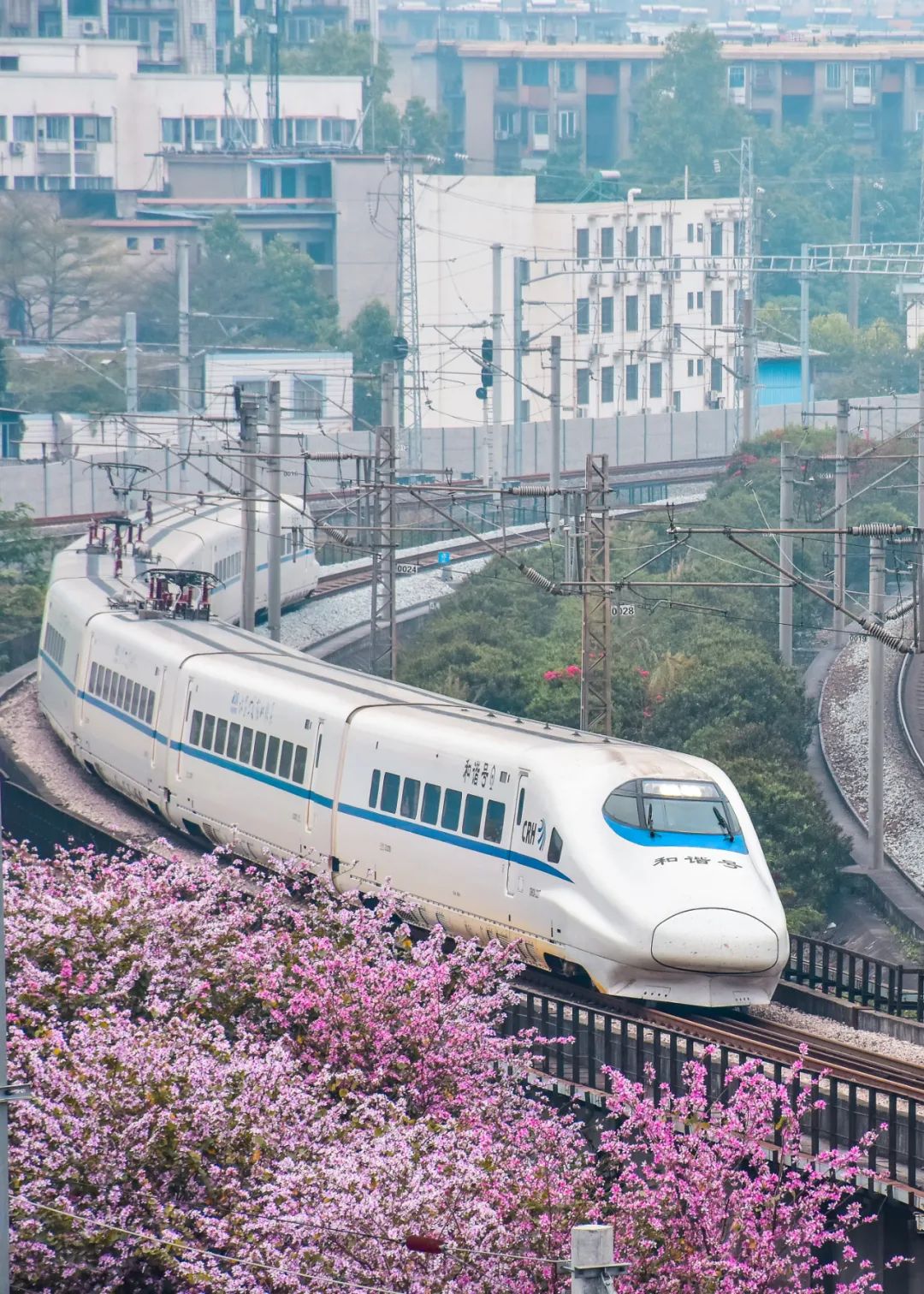 美如画!火车经过柳州的样子,每一张都是大片