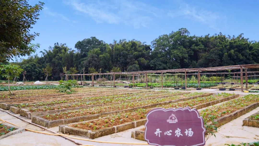 带你享受,大自然般的田园生活!