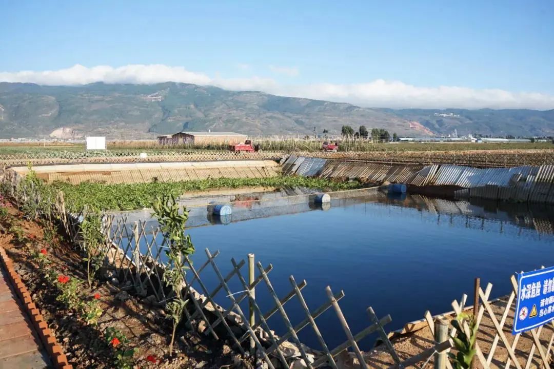 治理后新建的氧化塘建章立制 包保明确陆良县作为云南省第一高原坝子