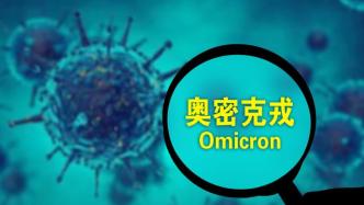 Omicron变种病毒来势汹汹，后续将会怎样演变？如何影响全球市场？