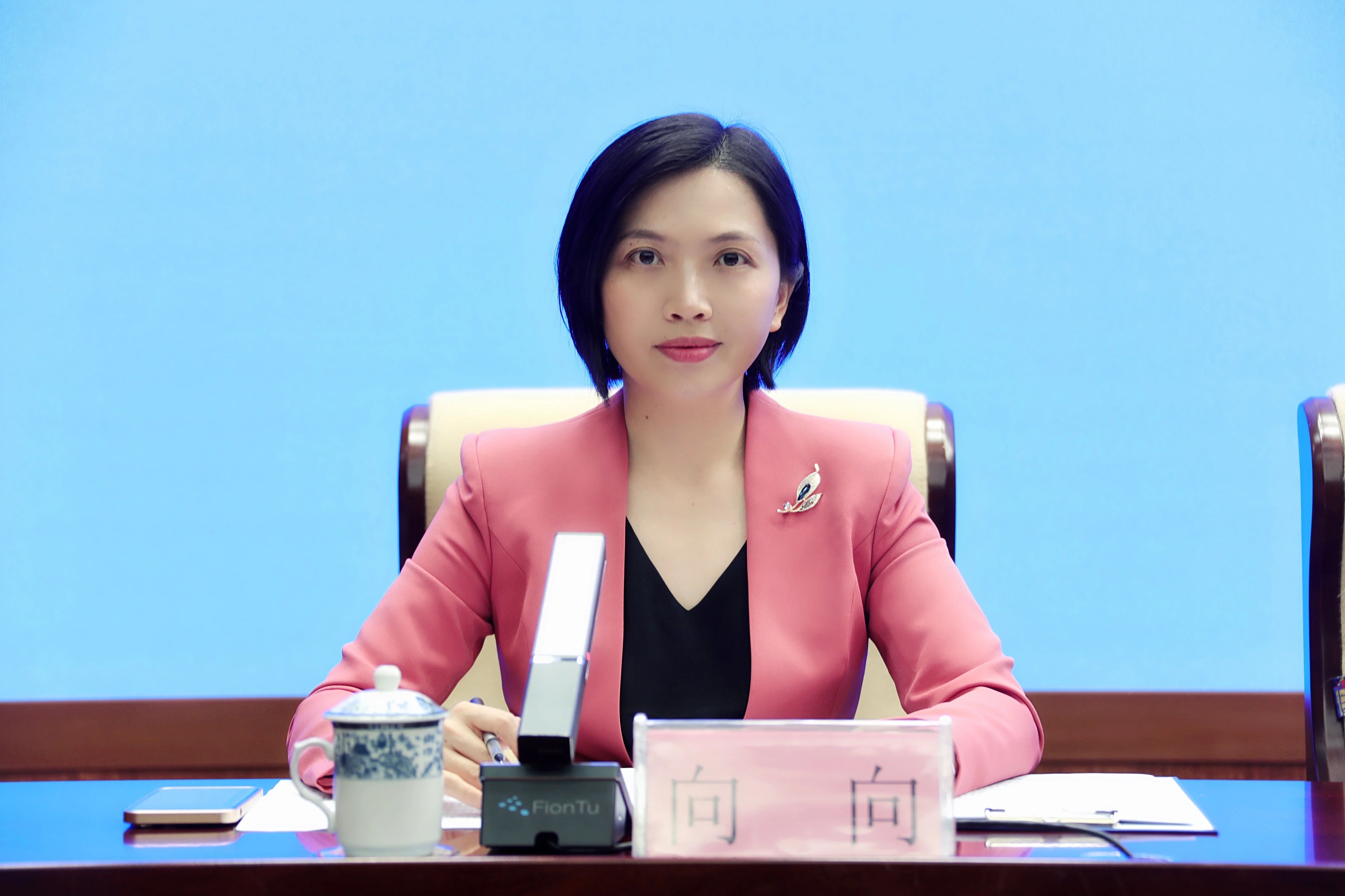 中共海南省委宣传部新闻发布处处长,新闻发言人向向