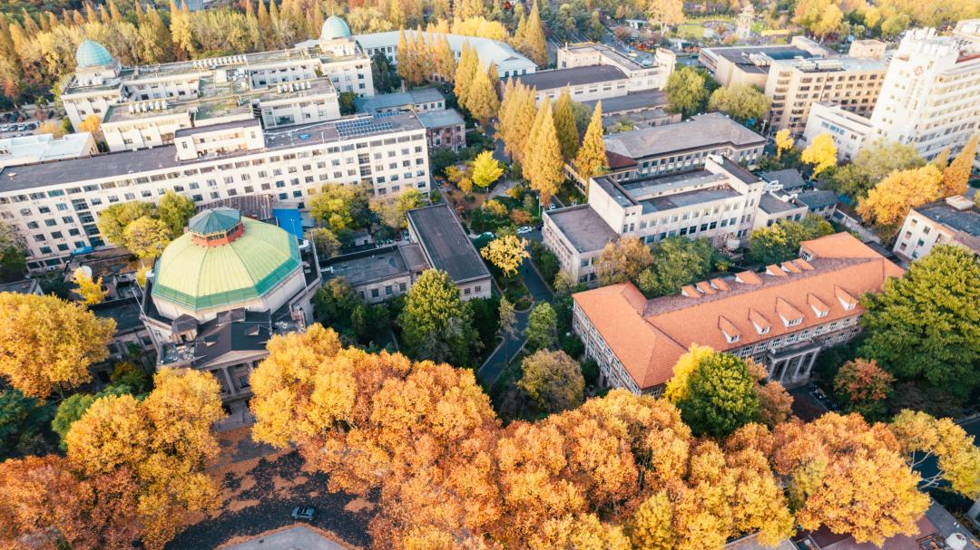 来了来了东大五美全来了