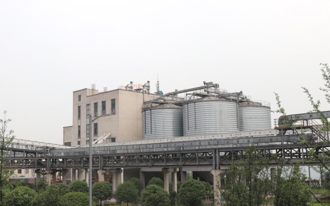 中国四川泸州泸川酒厂图片
