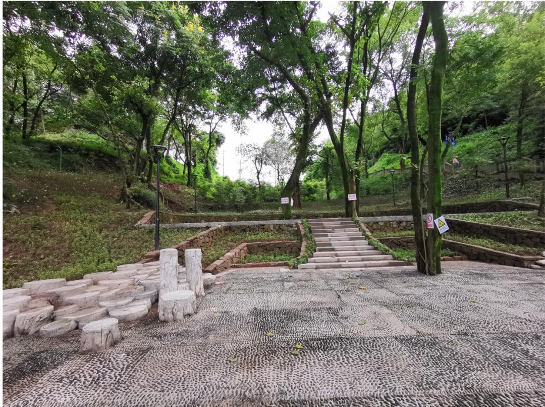 家门口添风景沙坪坝新增2座社区体育文化公园1条山城步道