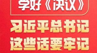 學好《決議》，習近平總書記這些話要牢記