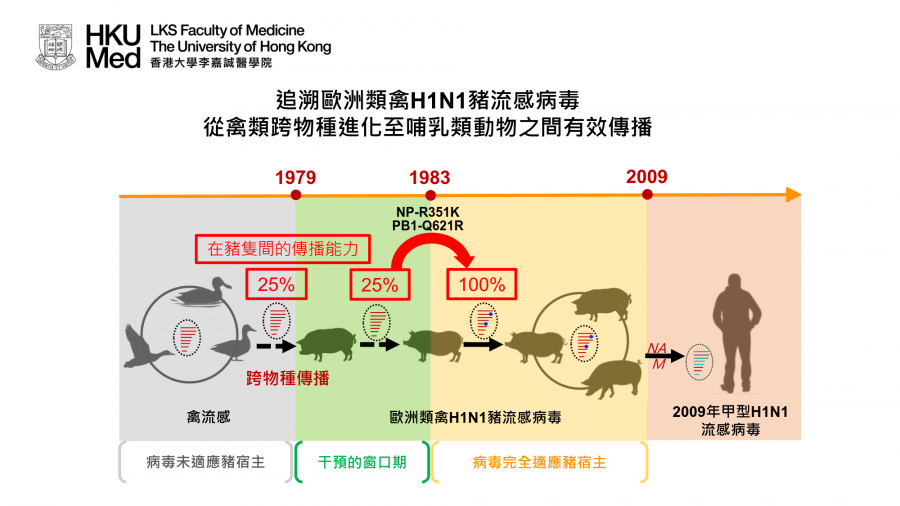 自1979年以来,ea猪流感病毒已在欧洲和亚洲国家的猪群中繁衍流行