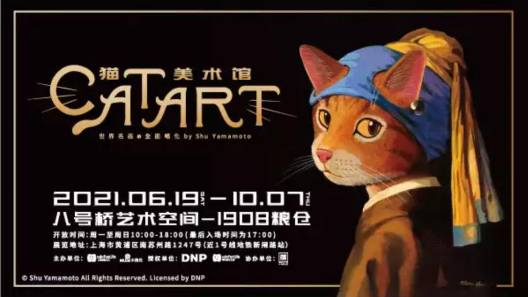 音乐现场猫咪 490.jpg