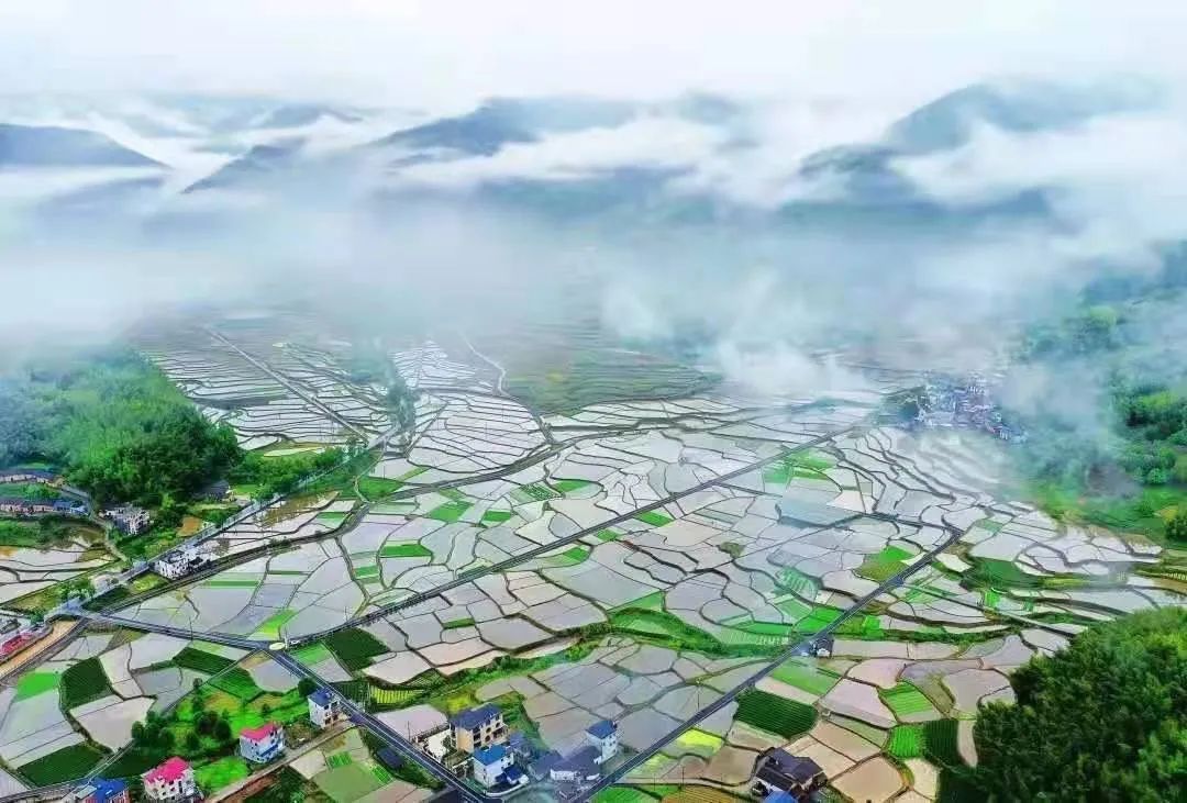 浙江省入围仅两家遂昌县新路湾镇焦川村入选第三批全国粮食安全宣传