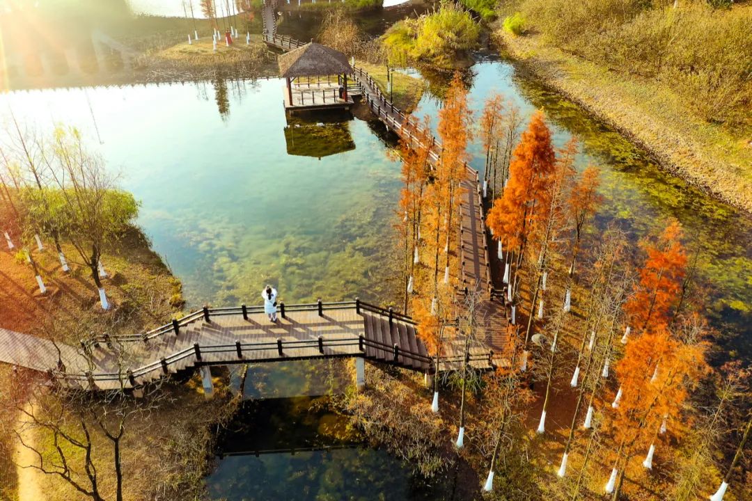 松雅湖湿地公园地形图图片