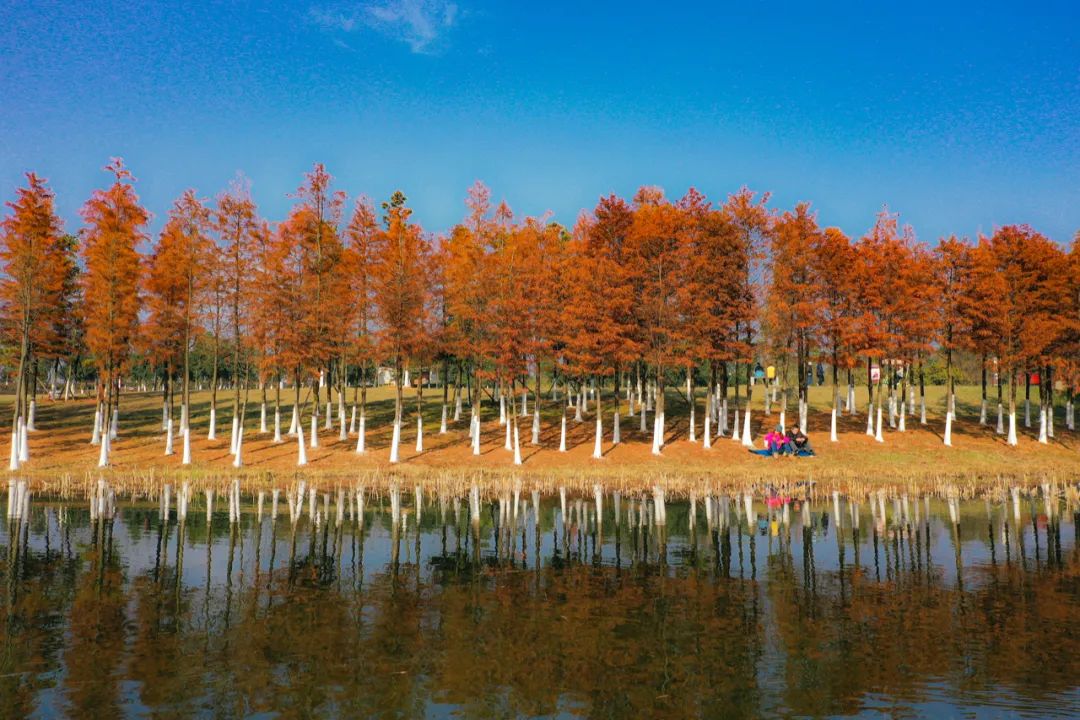 长沙县印山湖公园介绍图片