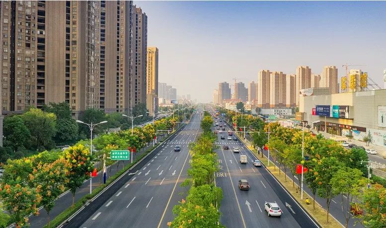 近日,金寨路,潜山路,马鞍山路,徽州大道等8条主干道沿街两侧城市品质