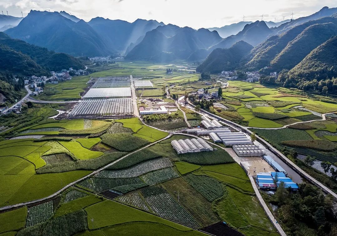 坝芒是个好地方冷凉蔬菜产业好