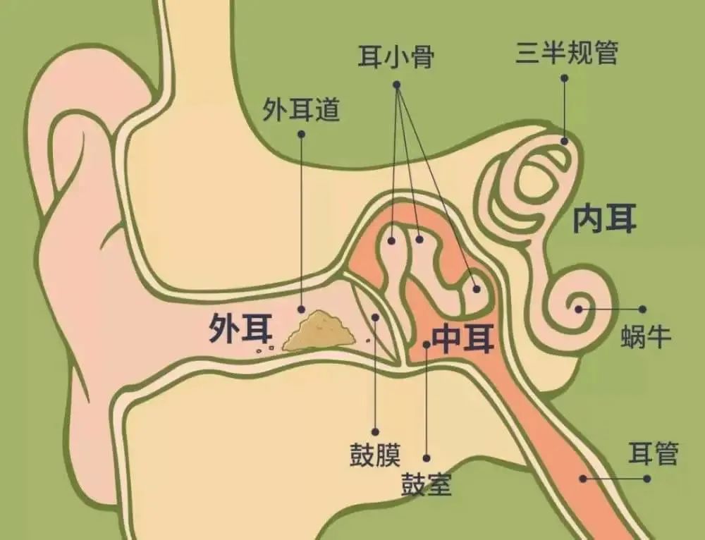 10月12日,经过充分的术前准备,刘泽刚带领康爽等人组成的耳鼻喉科手术